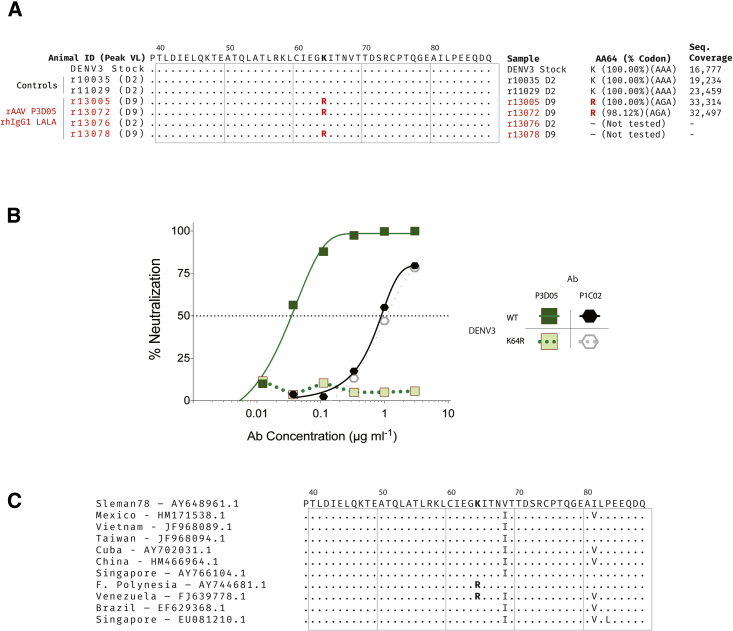 Figure 3