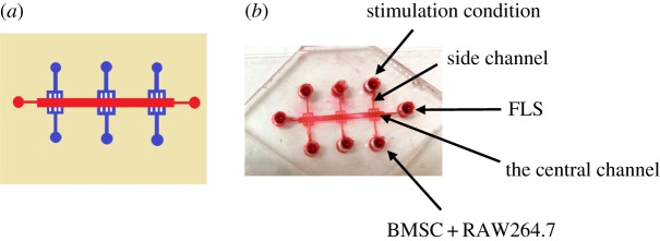 Figure 1.