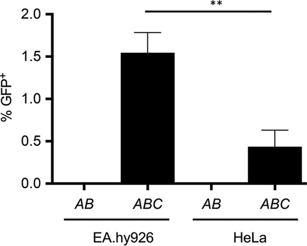 FIG 1