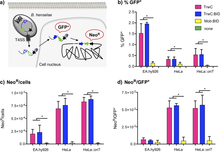 FIG 2