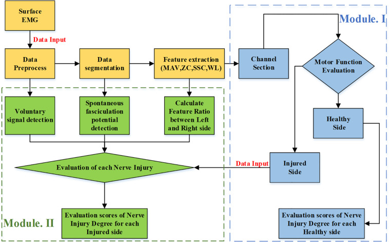 FIGURE 3