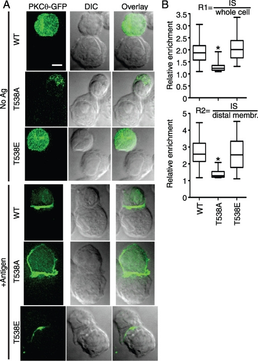 FIGURE 3: