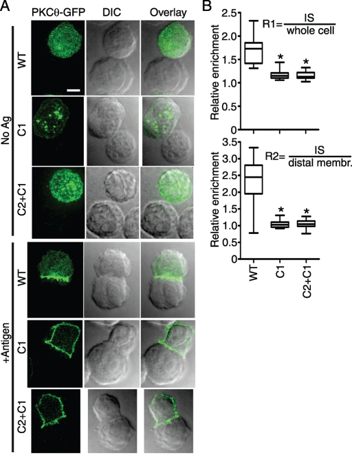 FIGURE 1: