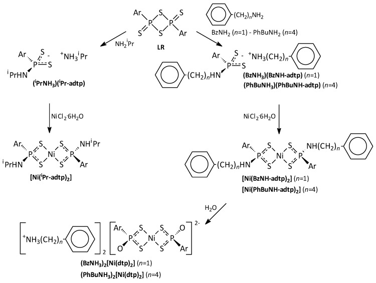 Scheme 2