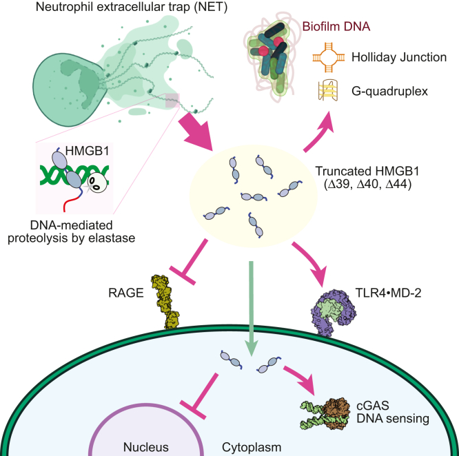 Figure 6