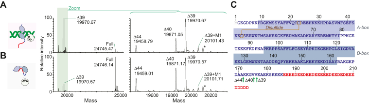 Figure 2