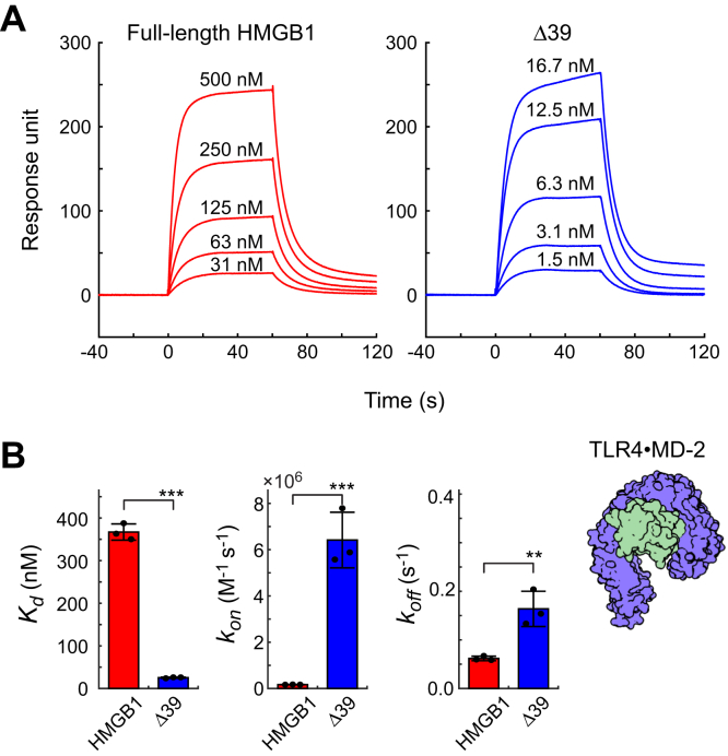 Figure 4