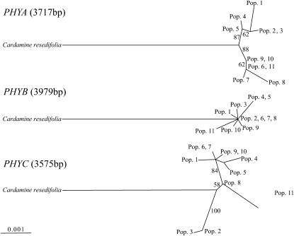 Figure 1.—