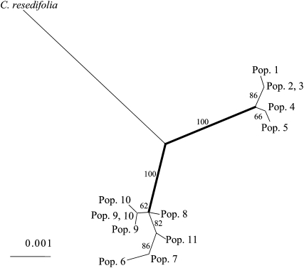 Figure 2.—