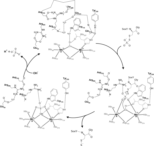 FIGURE 5.