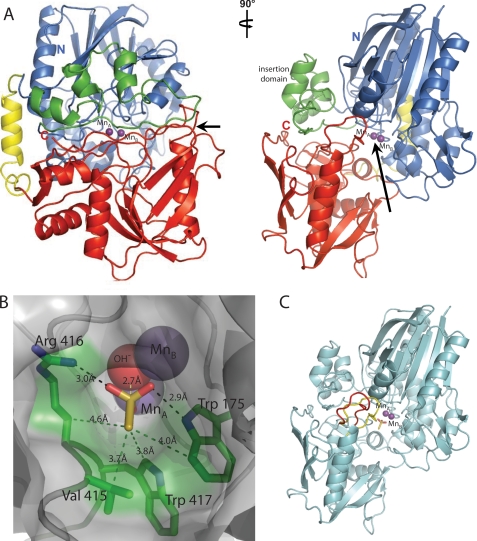 FIGURE 2.