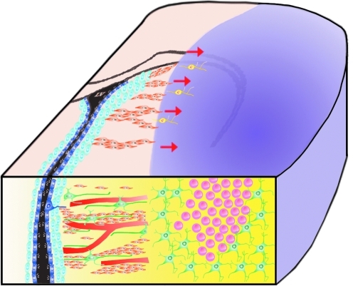 FIG. 3.