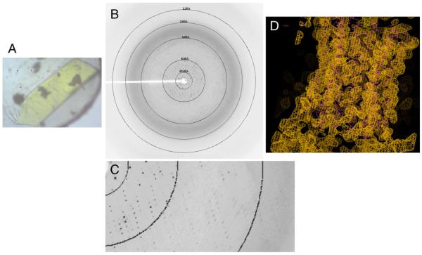 Fig. 8