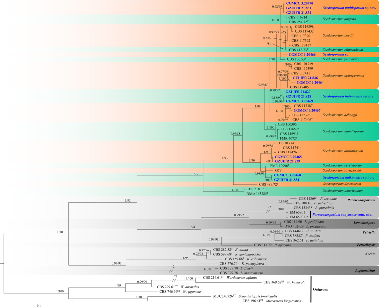 FIG 3