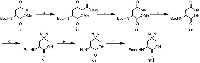 Scheme 1