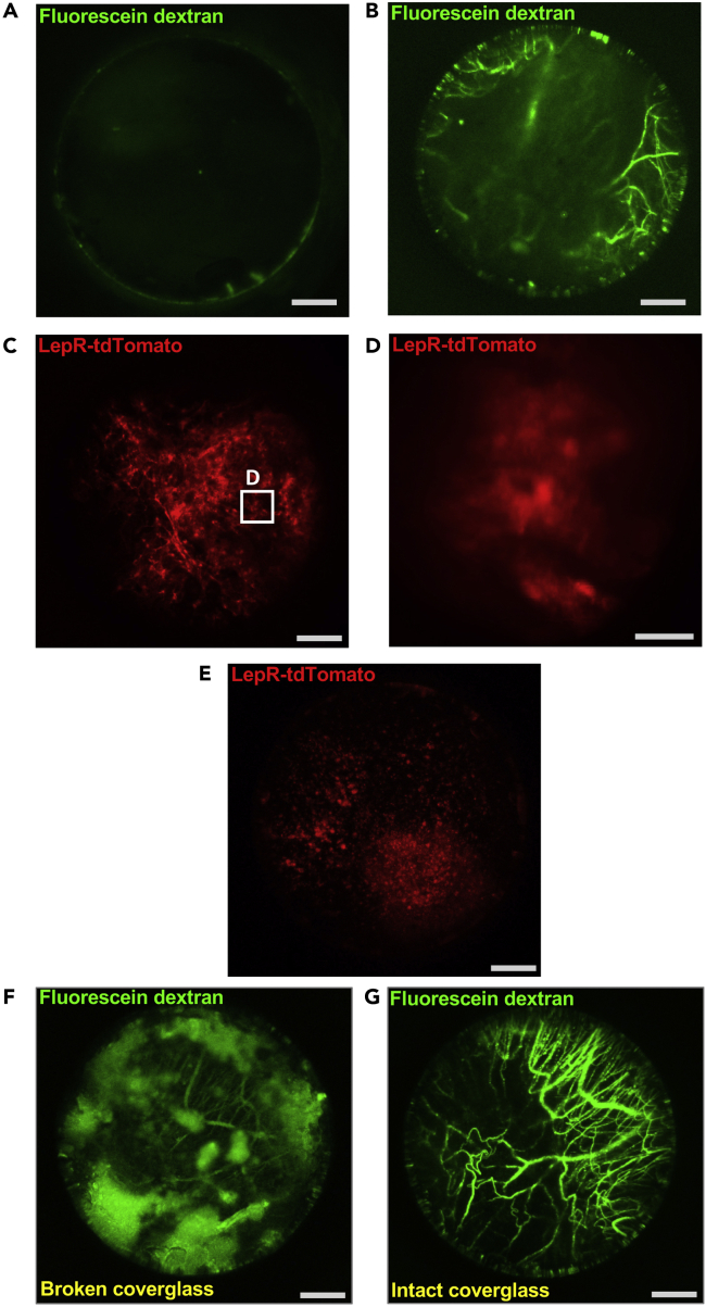 Figure 3
