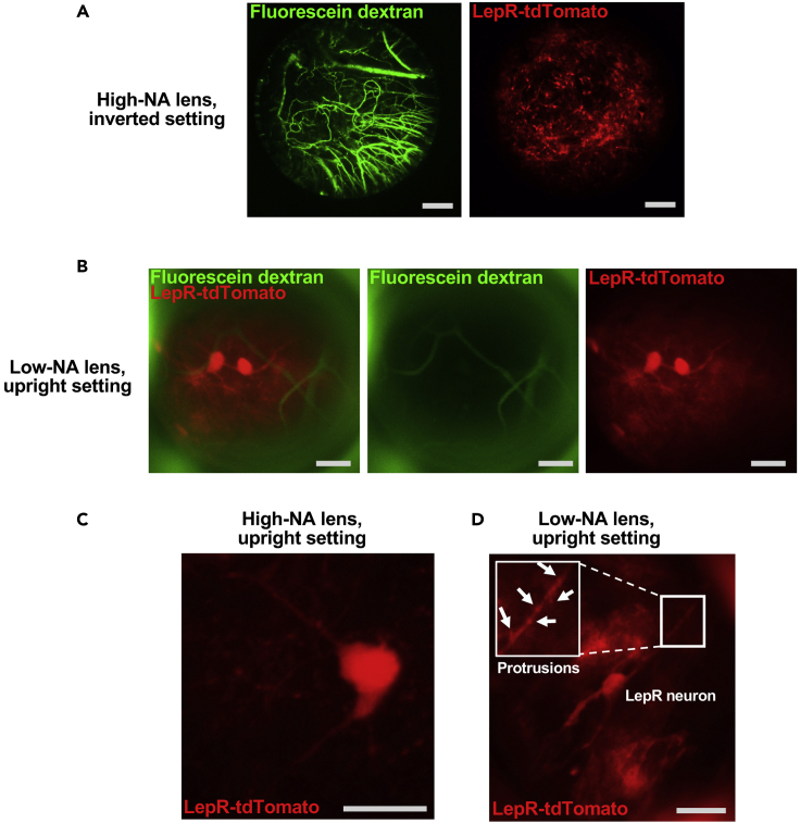 Figure 2