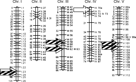 Fig. 2