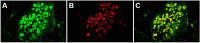 FIG 3
