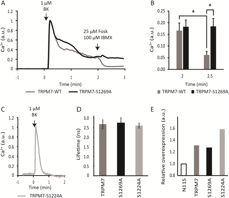 Fig 3