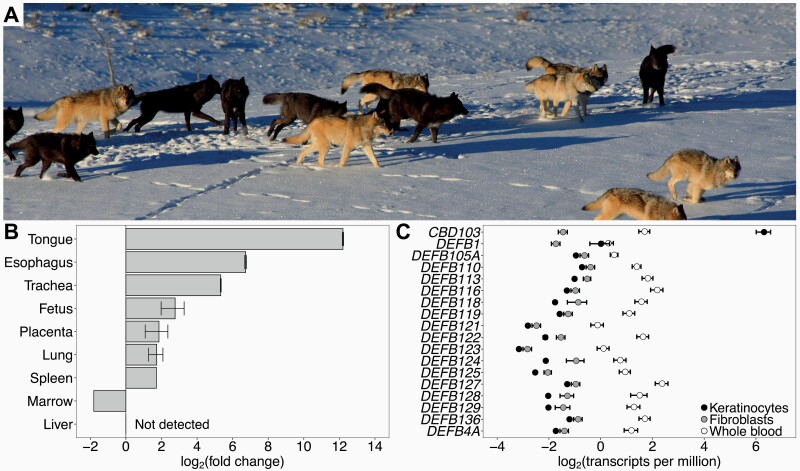 Figure 1.