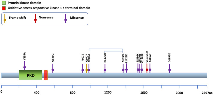 FIGURE 2