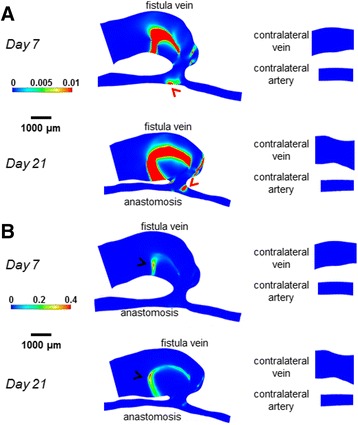 Fig. 7