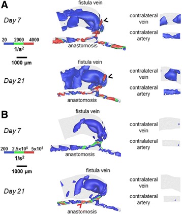 Fig. 10