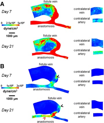 Fig. 6