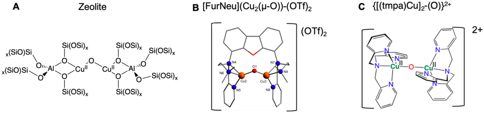 Figure 22.