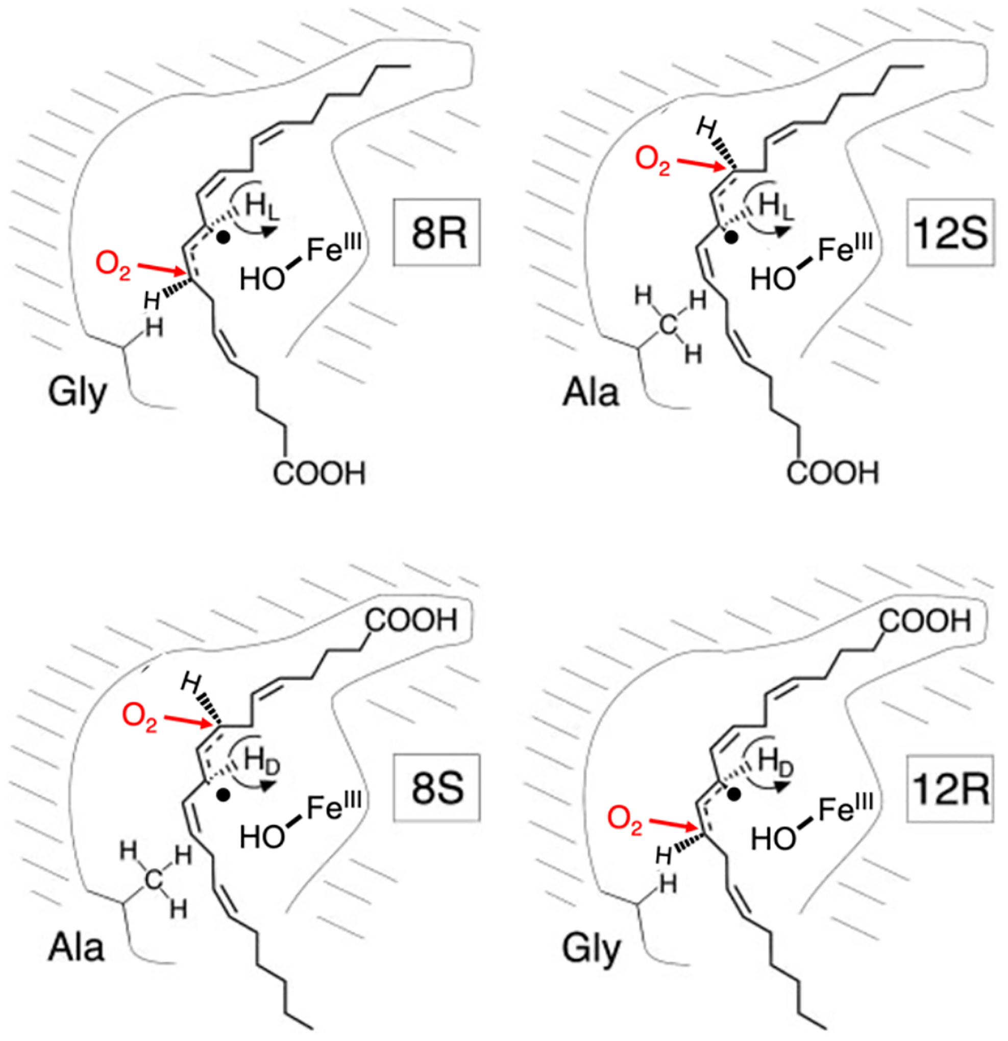 Figure 38.