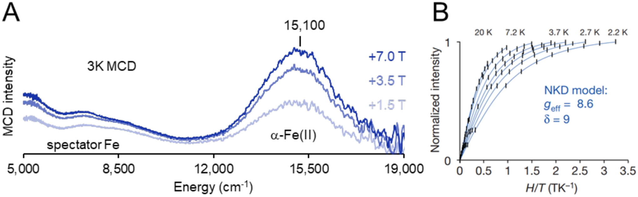 Figure 11.