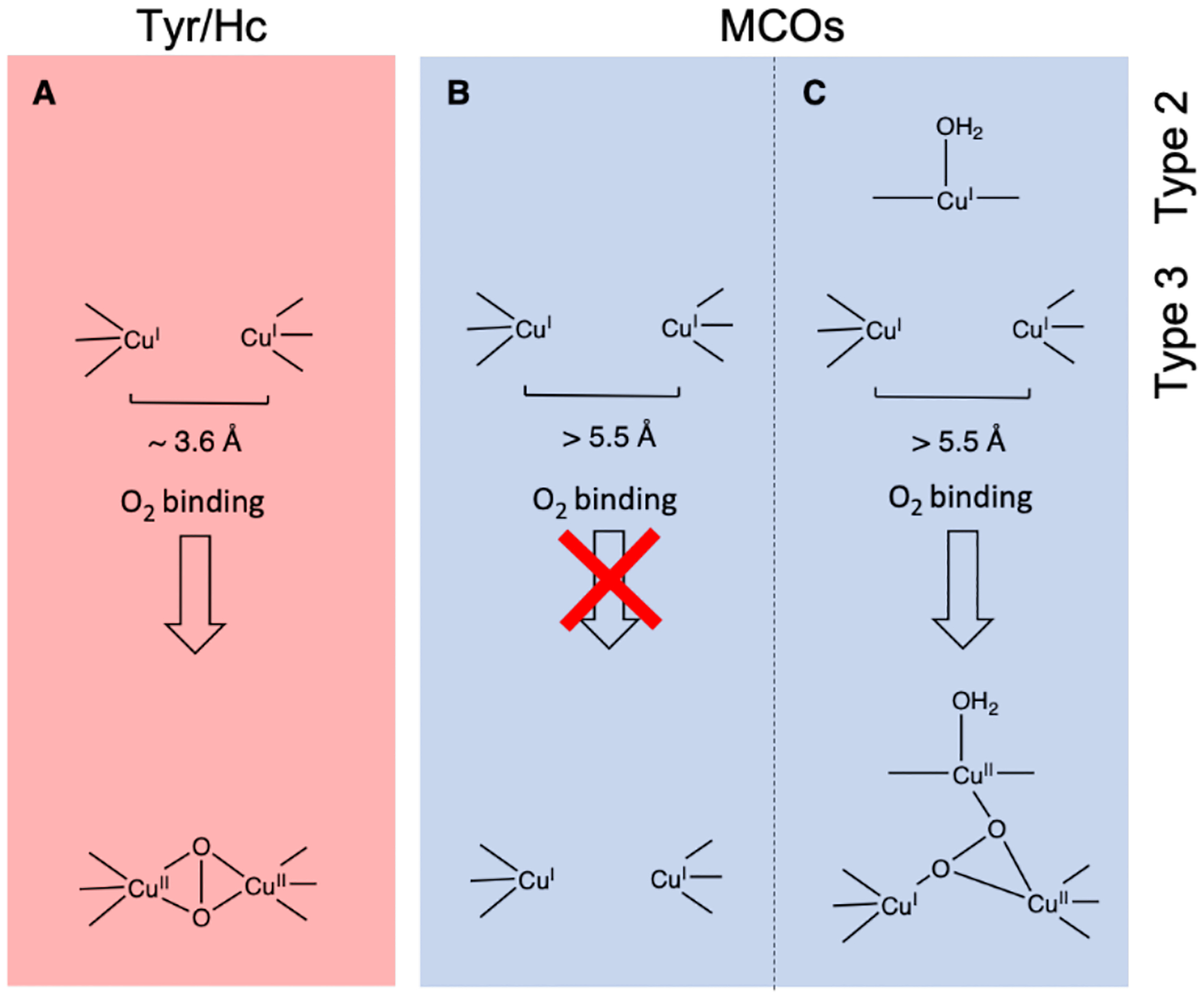 Figure 16.