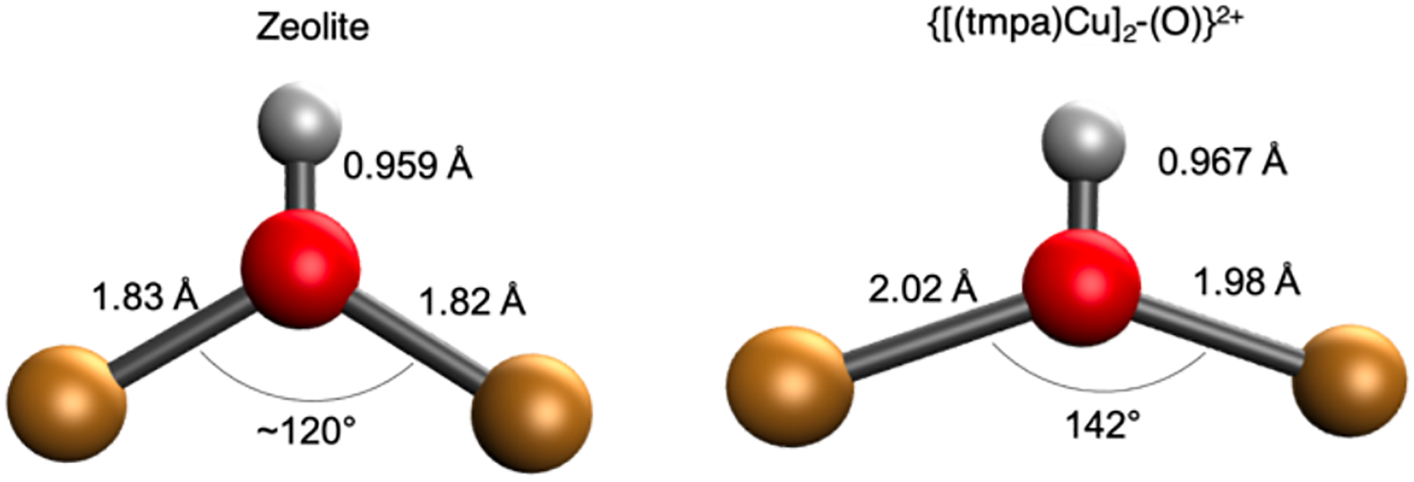 Figure 23.