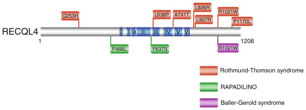 Fig. 6.6