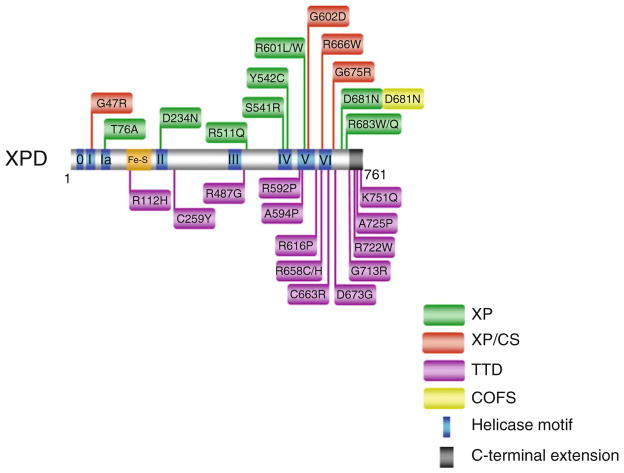 Fig. 6.2