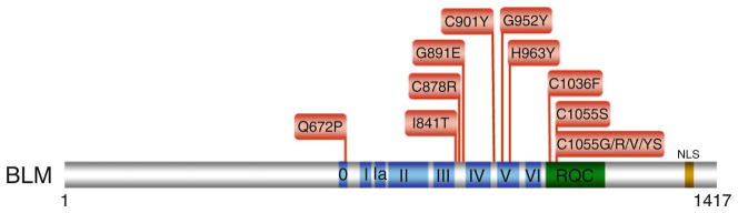 Fig. 6.5