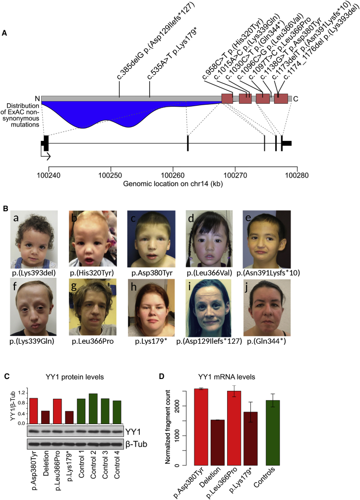 Figure 1