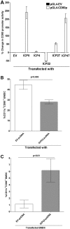 FIG 6