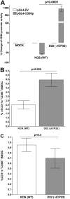 FIG 7