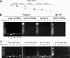 FIG 8