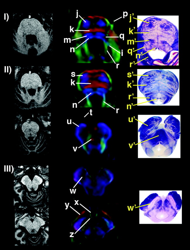 Fig 2.