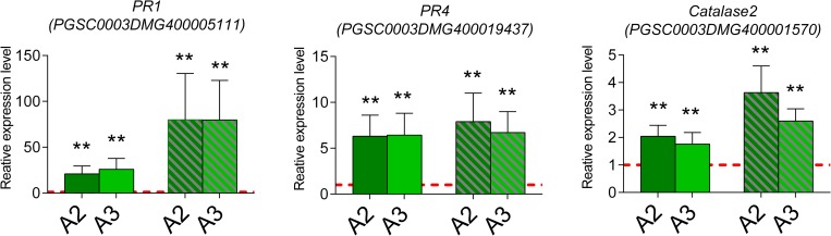 Fig 5