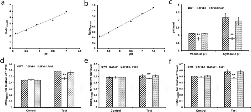 Figure 6.