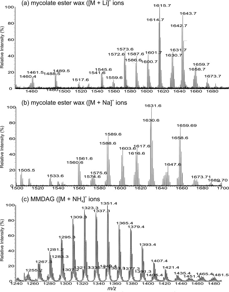 FIGURE 3.