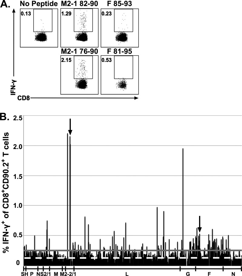 FIG 2