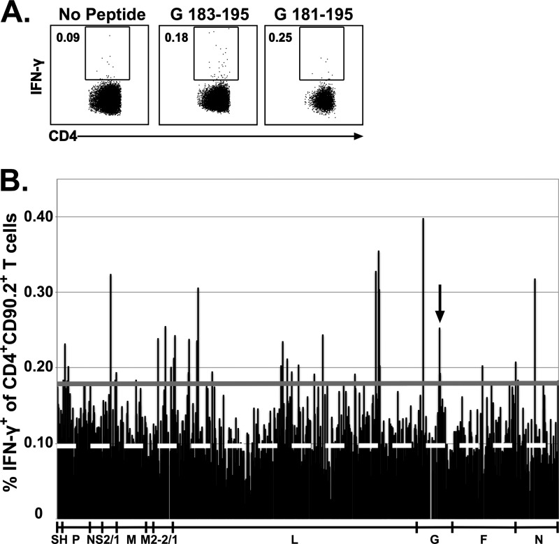 FIG 1