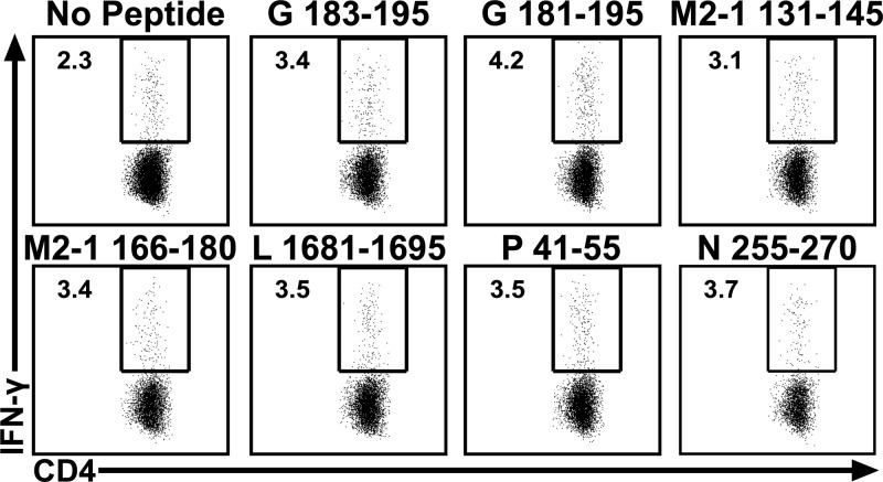 FIG 3