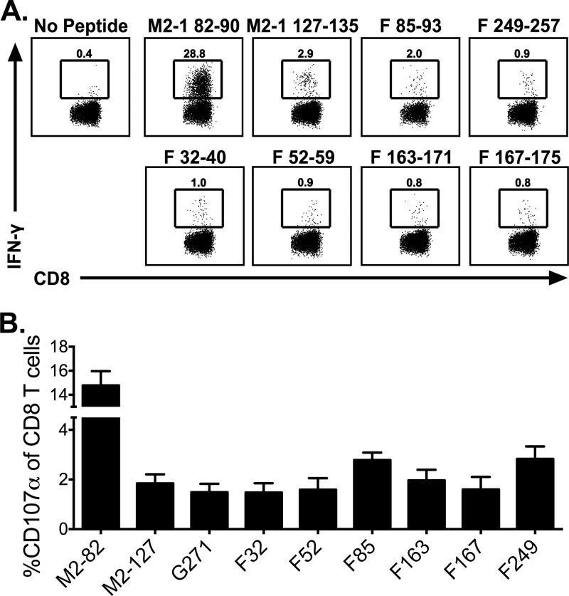 FIG 6