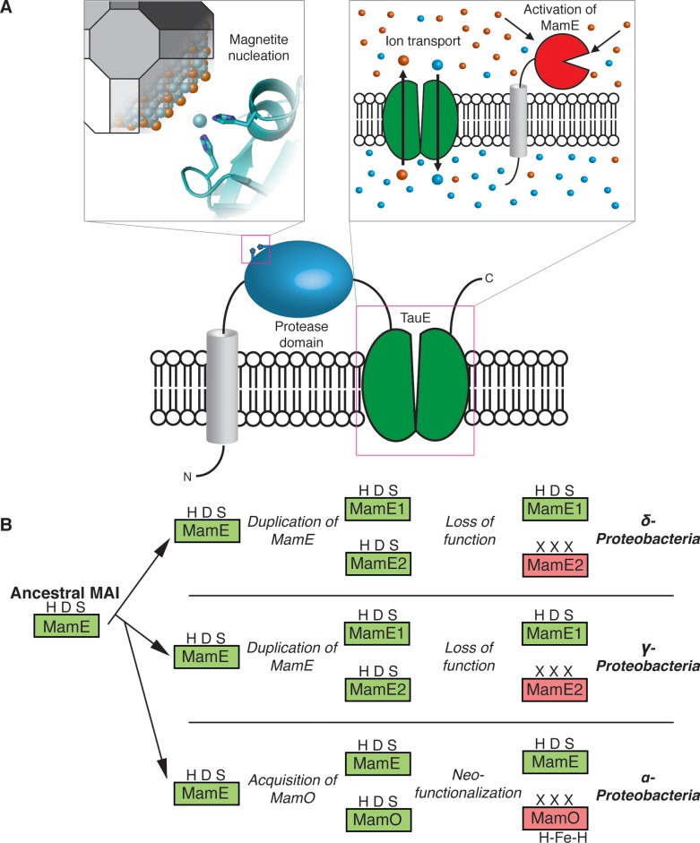 Fig 8